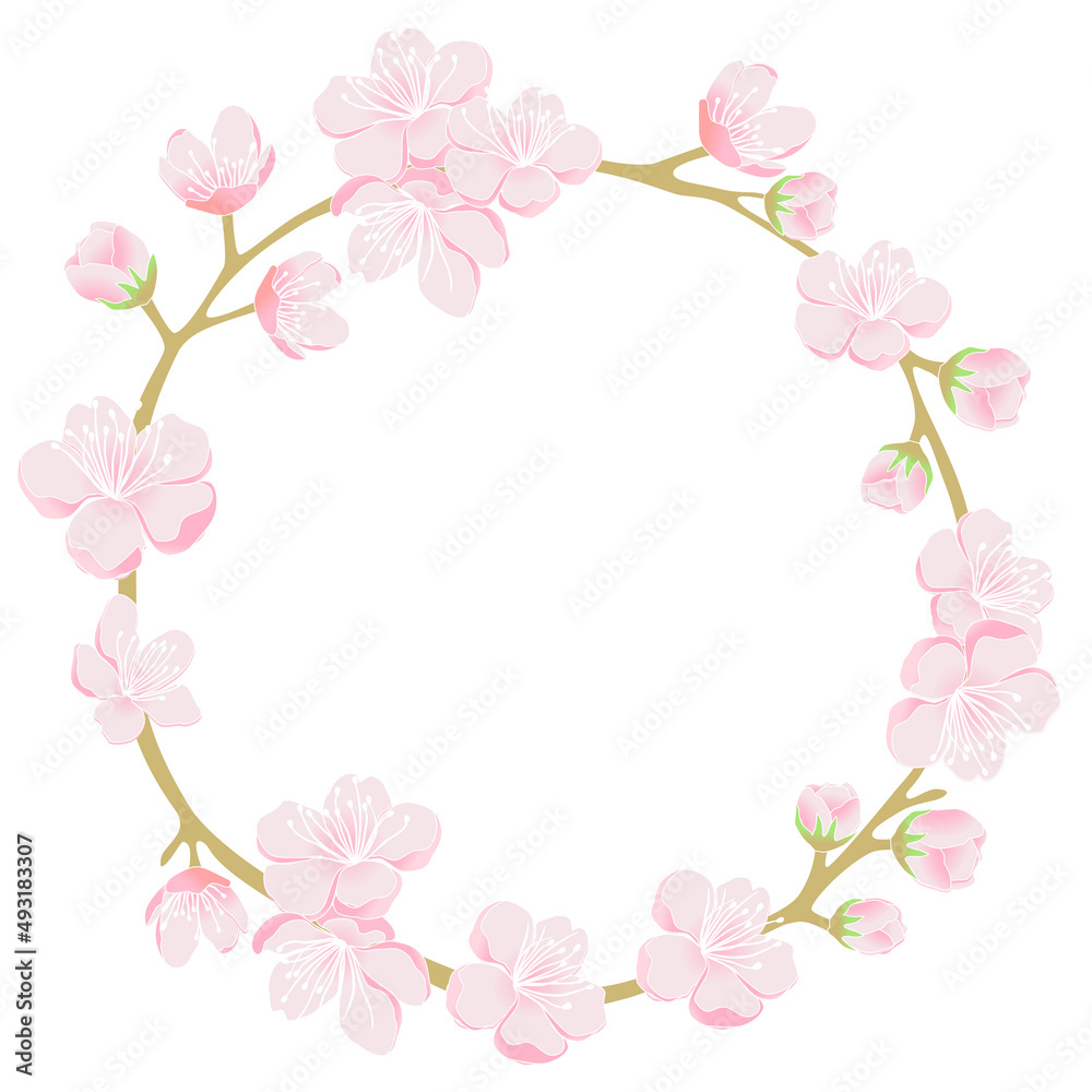 Frame of cherry blossom flowers 