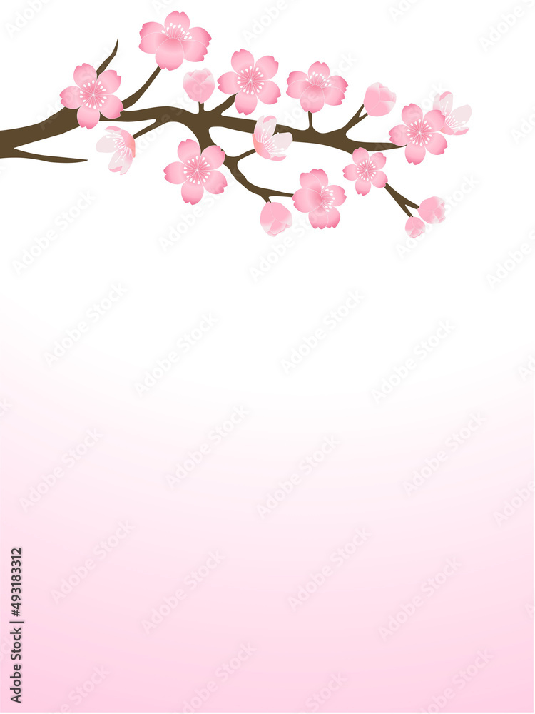 Pink cherry blossom branch background