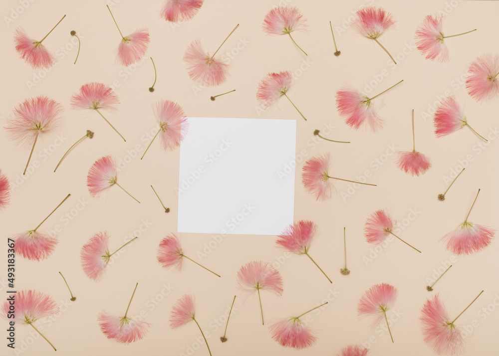 Patern made off pink silk tree blossom with white card for copy space on beige background. Romantic summer idea. Flat lay. Patern made off pink silk tree blossom with white card for copy space on beige background. Romantic summer idea. Flat lay.