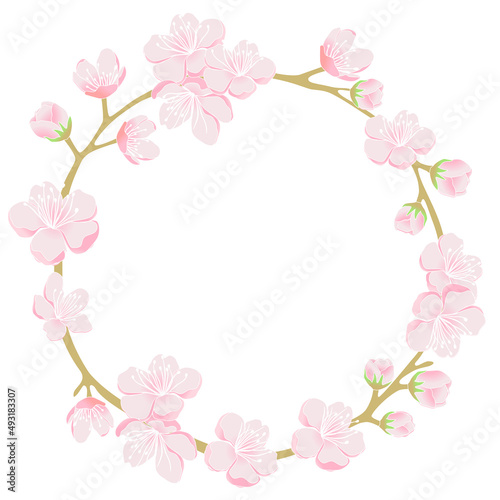 Frame of cherry blossom flowers 