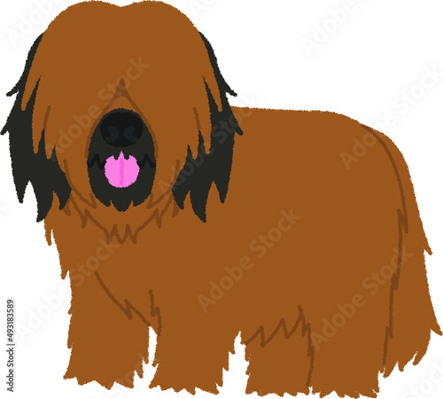 Konstfotografi ブリアードの犬イラスト