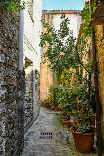A narrow street among the old stone houses of Castellabate, town in Salerno province, Italy. 