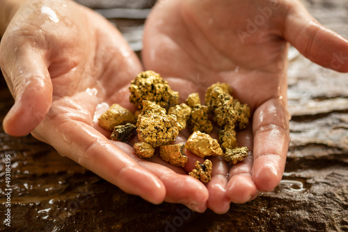 Canvastavla Miners hold in their hands gold minerals found in the mine for inspection and co