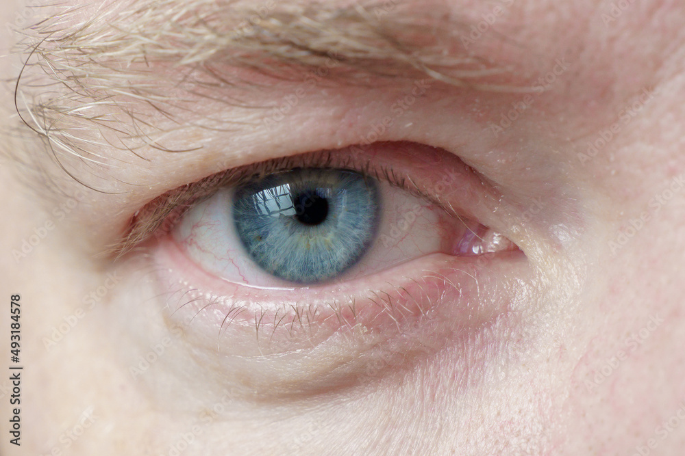 Obraz premium Right eye of a white male close-up, soft focus. The human eye with a blue pupil