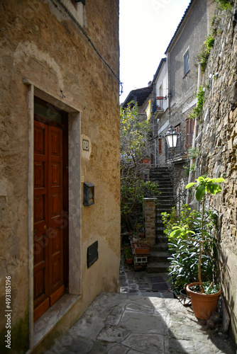 Fototapeta Naklejka Na Ścianę i Meble -  A narrow street among the old stone houses of Castellabate, town in Salerno province, Italy.
