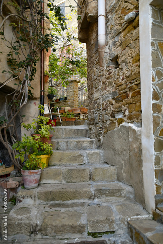 Fototapeta Naklejka Na Ścianę i Meble -  A narrow street among the old stone houses of Castellabate, town in Salerno province, Italy.