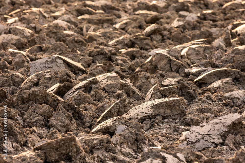 Plow marks open the top of the soil for planting preparation. Plow marks open the top of the soil for planting preparation.