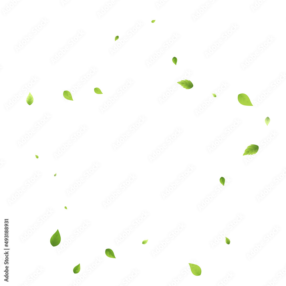 Leaves Green Falling Flying Foliage Leaf Tea Mint Leaves Green Falling Flying Foliage Leaf Tea Mint