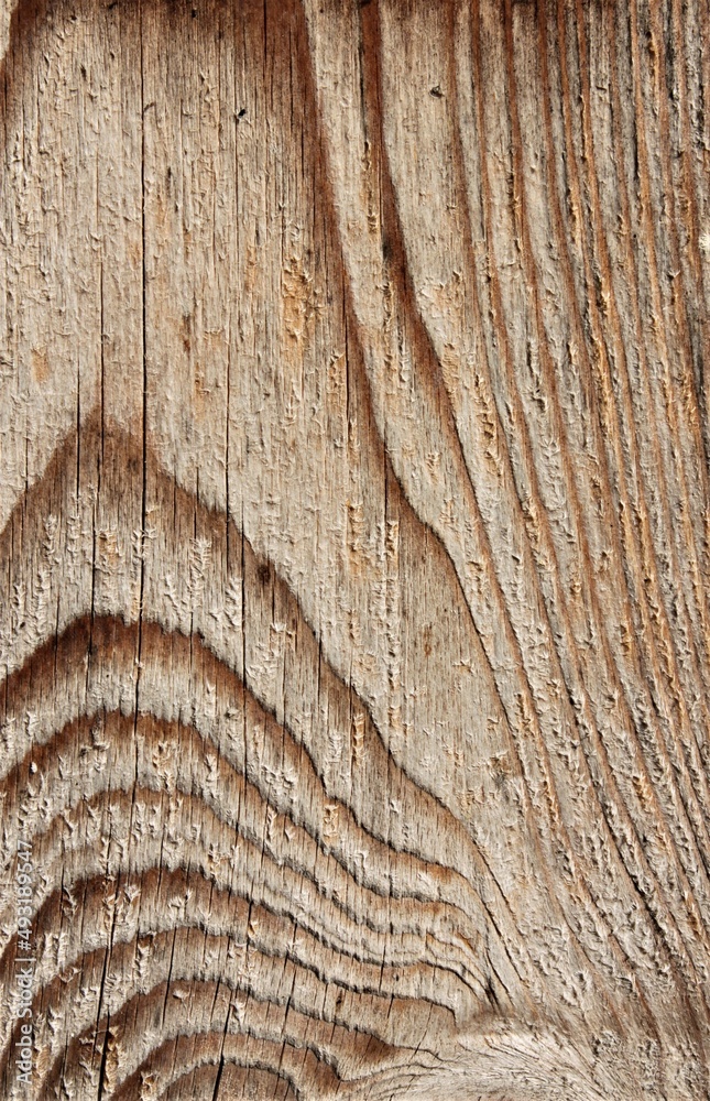 light wood with interesting grain light wood with interesting grain