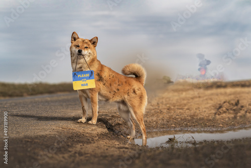 chien please no ware