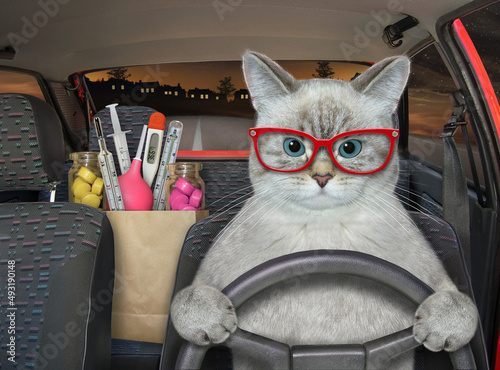 Foto The ashen cat doctor  is driving a red car on the highway at night