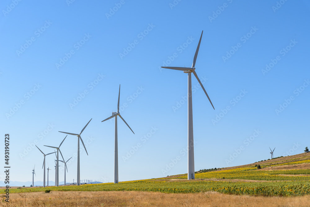Wind turbines generating electricity on landscape of farmland. Clean energy and renewable energy concepts Wind turbines generating electricity on landscape of farmland. Clean energy and renewable energy concepts