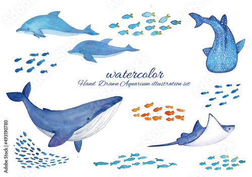 水彩手書きの海の生き物のイラストセット
