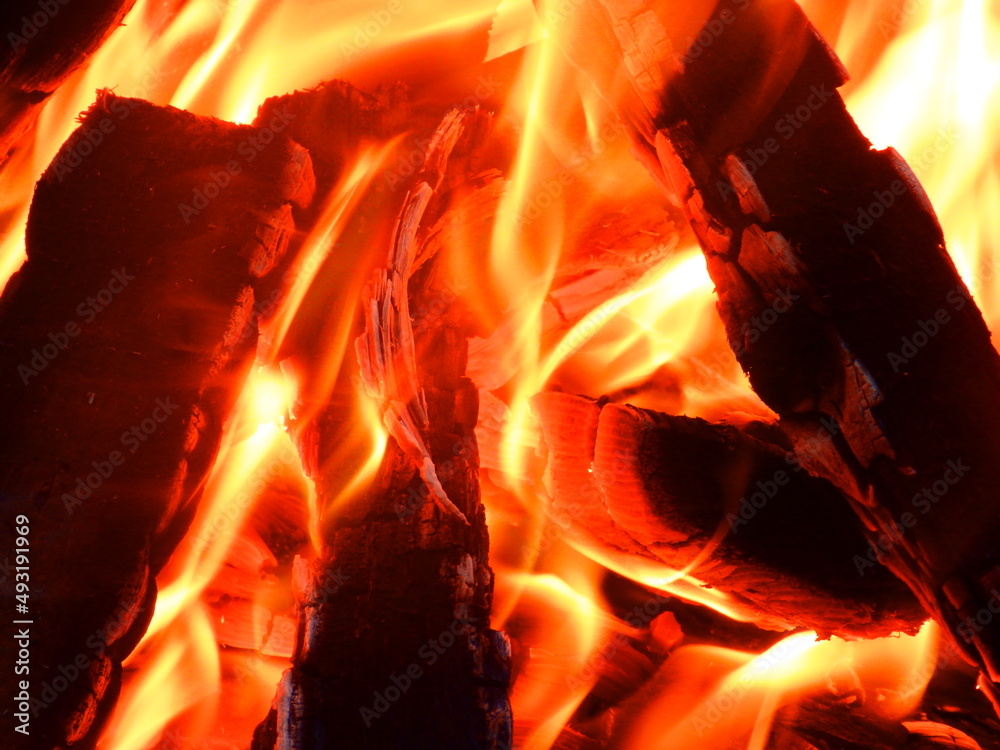 Fototapeta premium Fire. Fireplace. Burn