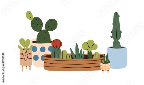 Cacti, barbed home plants growing in pots. Tropical cactus with prickles. Houseplants with thorns in planters, flowerpots. Prickly room decor. Flat vector illustration isolated on white background