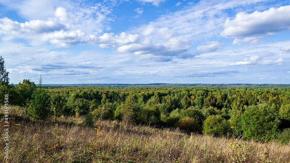 landscape, view of the forest valley