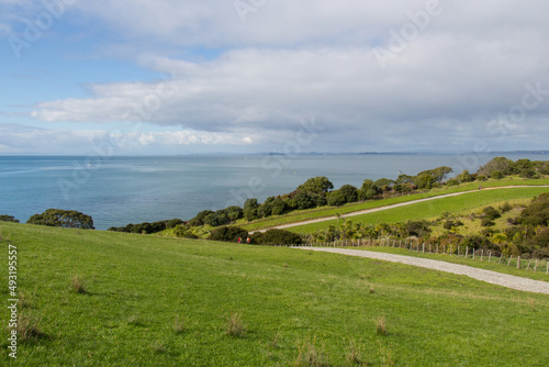 Picturesque landscape with green grass hills and blue sea on background, Shakespear Regional Park, New Zealand.