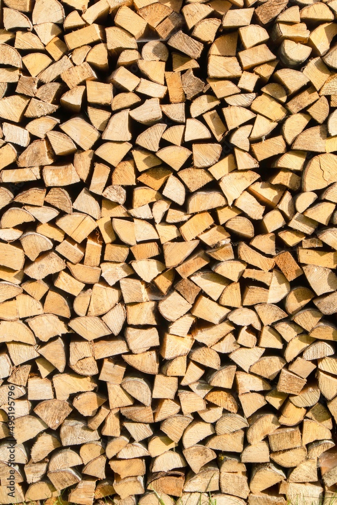 Reserve for the winter stack of firewood Reserve for the winter stack of firewood