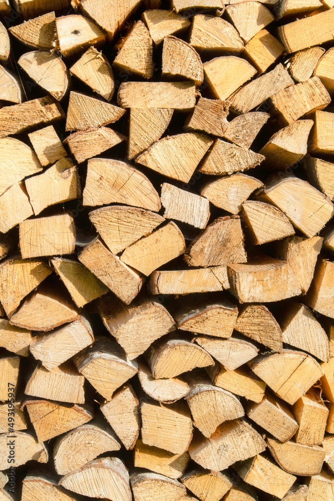 Reserve for the winter stack of firewood Reserve for the winter stack of firewood