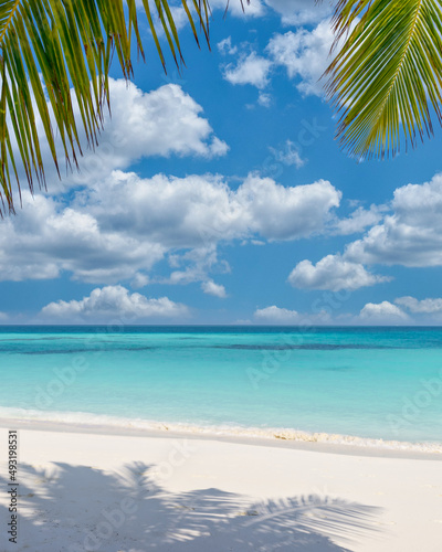 Fototapeta Naklejka Na Ścianę i Meble -  Tropical resort hotel beach paradise. Amazing nature, coast, shore. Summer vacation, travel adventure. Luxury holiday landscape, stunning ocean lagoon, blue sky palm trees. relax idyllic inspire beach