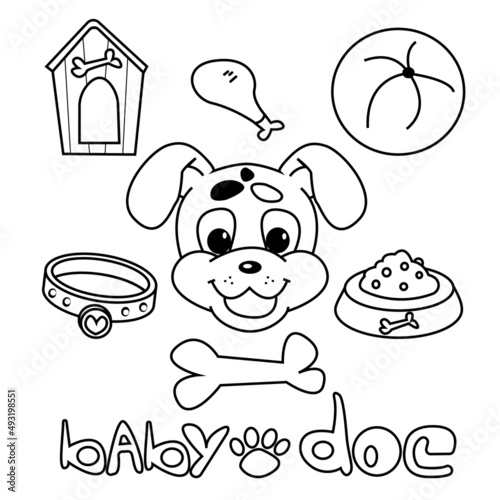 Cute puppy and hand drawn pet items. Funny muzzle of a dog, booth, bone, collar, bowl of food, ball. Vector illustration.