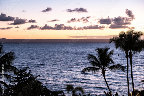 landscape with palm trees at the forefront against the sea and blue sky 