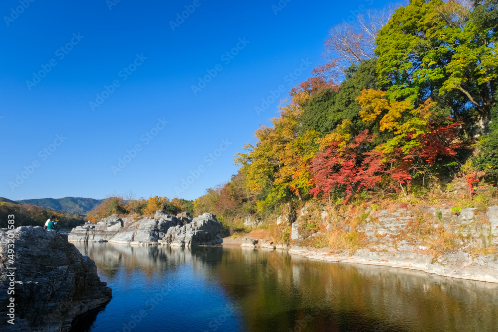 Obraz premium 埼玉県 秋の長瀞渓谷