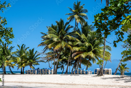 tropical landscape with sandy beach boat and palm trees in Dominican Republic  © константин константи