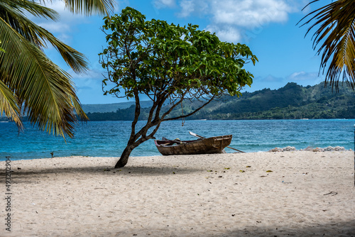 Fototapeta Naklejka Na Ścianę i Meble -  tropical landscape with sandy beach boat and palm trees in Dominican Republic 