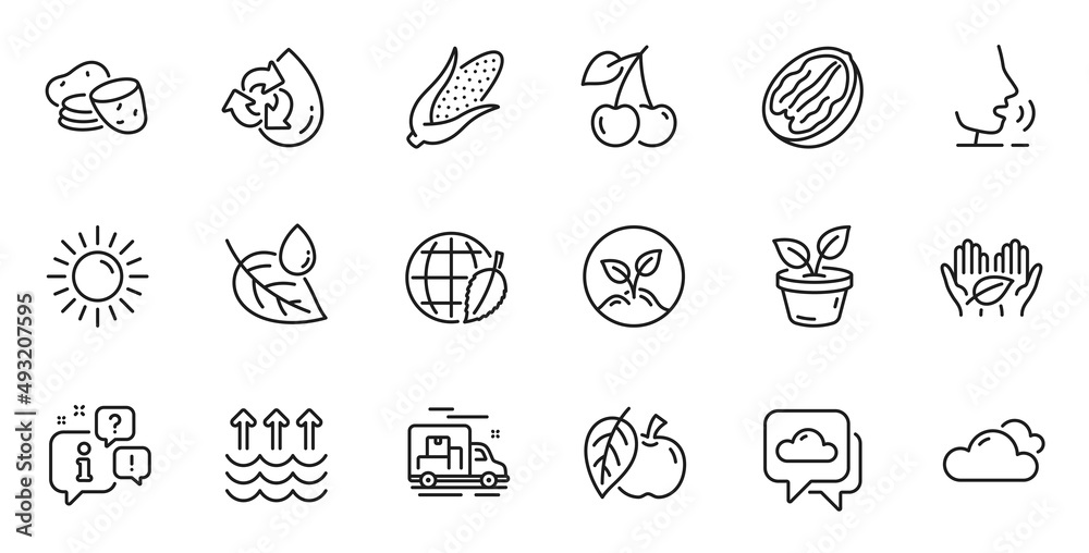 Outline set of Environment day, Pecan nut and Fair trade line icons for web application. Talk, information, delivery truck outline icon. Include Corn, Sun, Recycle water icons. Vector