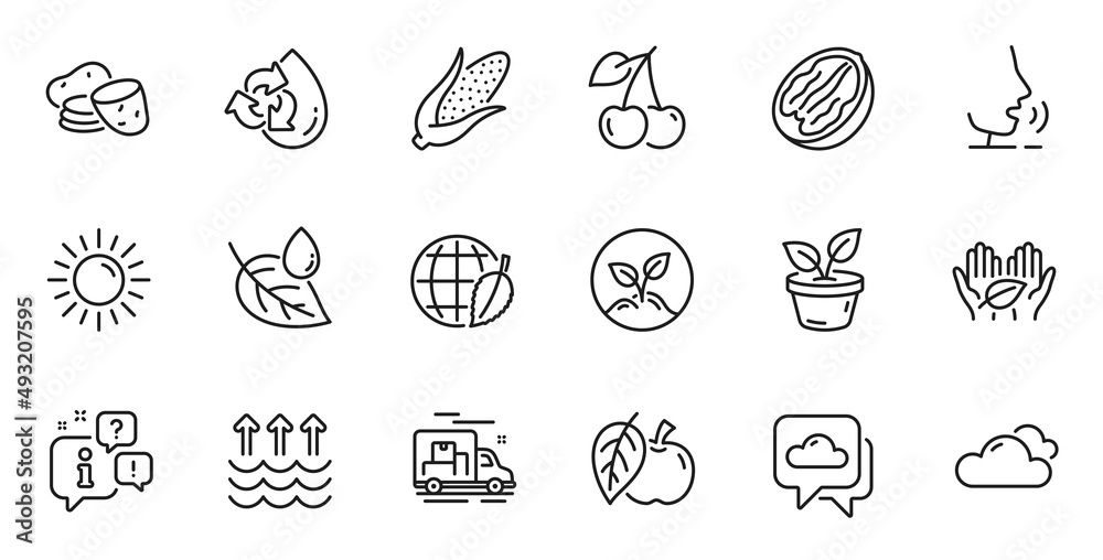 Outline set of Environment day, Pecan nut and Fair trade line icons for web application. Talk, information, delivery truck outline icon. Include Corn, Sun, Recycle water icons. Vector Outline set of Environment day, Pecan nut and Fair trade line icons for web application. Talk, information, delivery truck outline icon. Include Corn, Sun, Recycle water icons. Vector