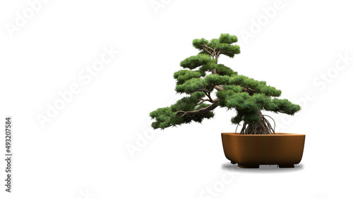bonsai tree on a white background. 3d rendering photo