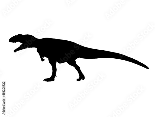 Giganotosaurus , dinosaur on isolated background .