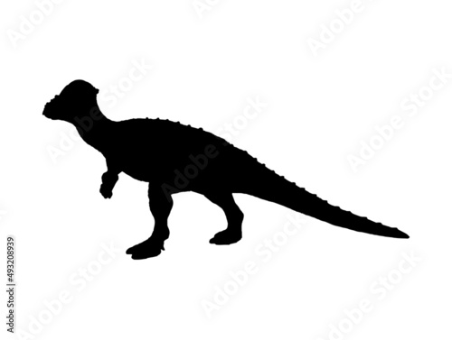 Pachyrhinosaurus     dinosaur on isolated background .