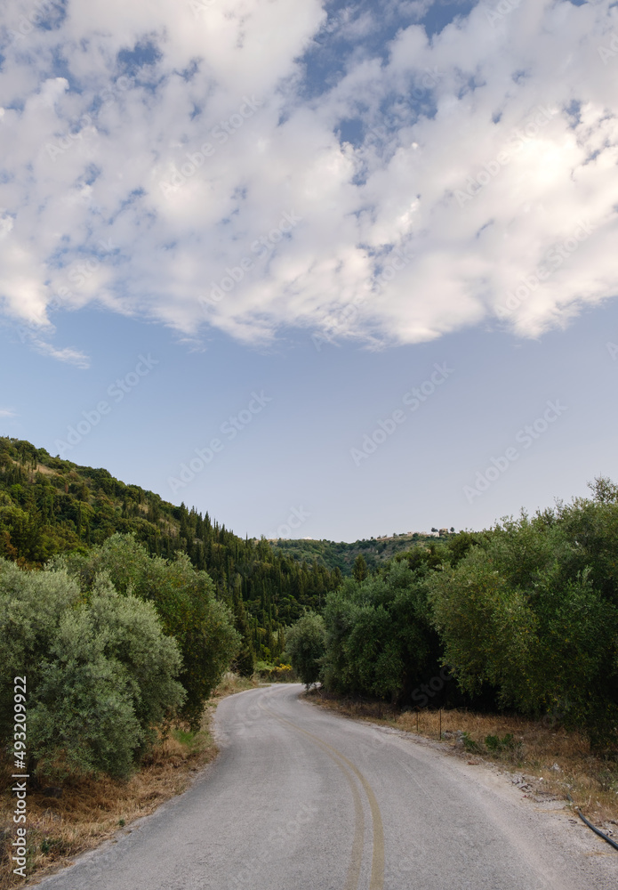 Countryside road in Greece with olive trees and hills.
