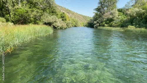 Crystal clear river Cetina in Croatia 