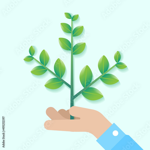 Hand Hold Tree Branch Fresh Young Sapling Plant On Hand Isolated Eco Sustainability Responsibility Cartoon Vector Illustration © chamkrajang