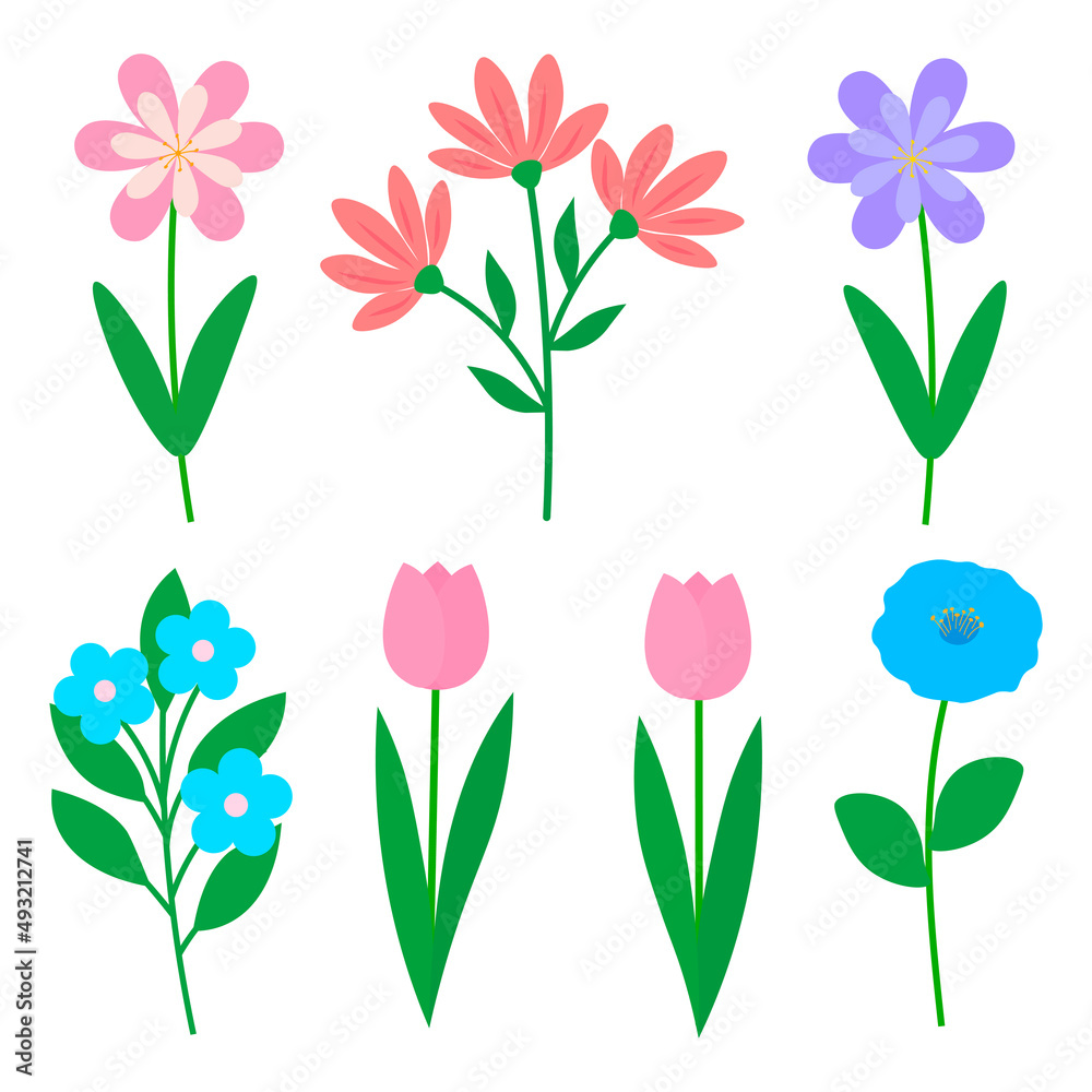 Set spring flowers vector illustration