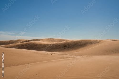 Sand Dunes in Little Sahara State Park in Waynoka  USA