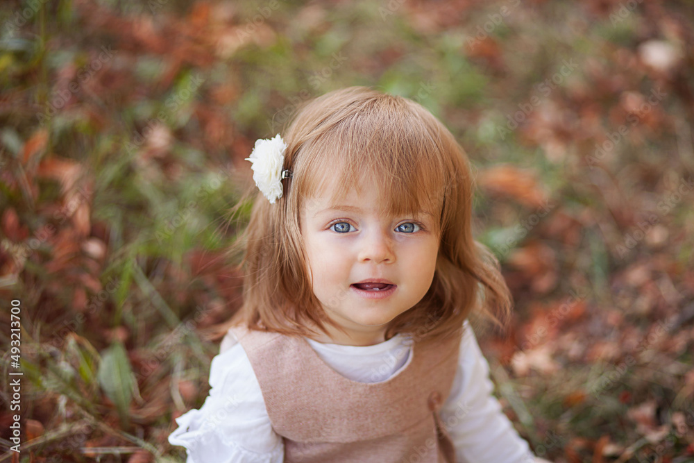 Little beautiful girl portrait in autumn street. Happy smart small girl in autumn park Little beautiful girl portrait in autumn street. Happy smart small girl in autumn park