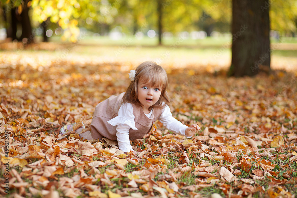 Portrait of little girl playing outdoors. Autumn Portrait of little girl playing outdoors. Autumn