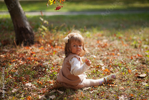 Little beautiful girl portrait in autumn street. Happy smart small girl in autumn park © Tatyana