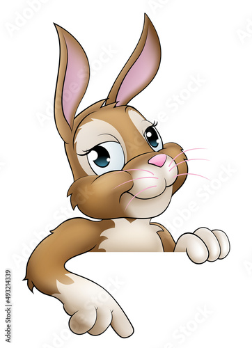 Easter Bunny Rabbit Cartoon...
