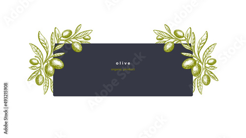 Olive label Vector texture tree, green fruit, leaf