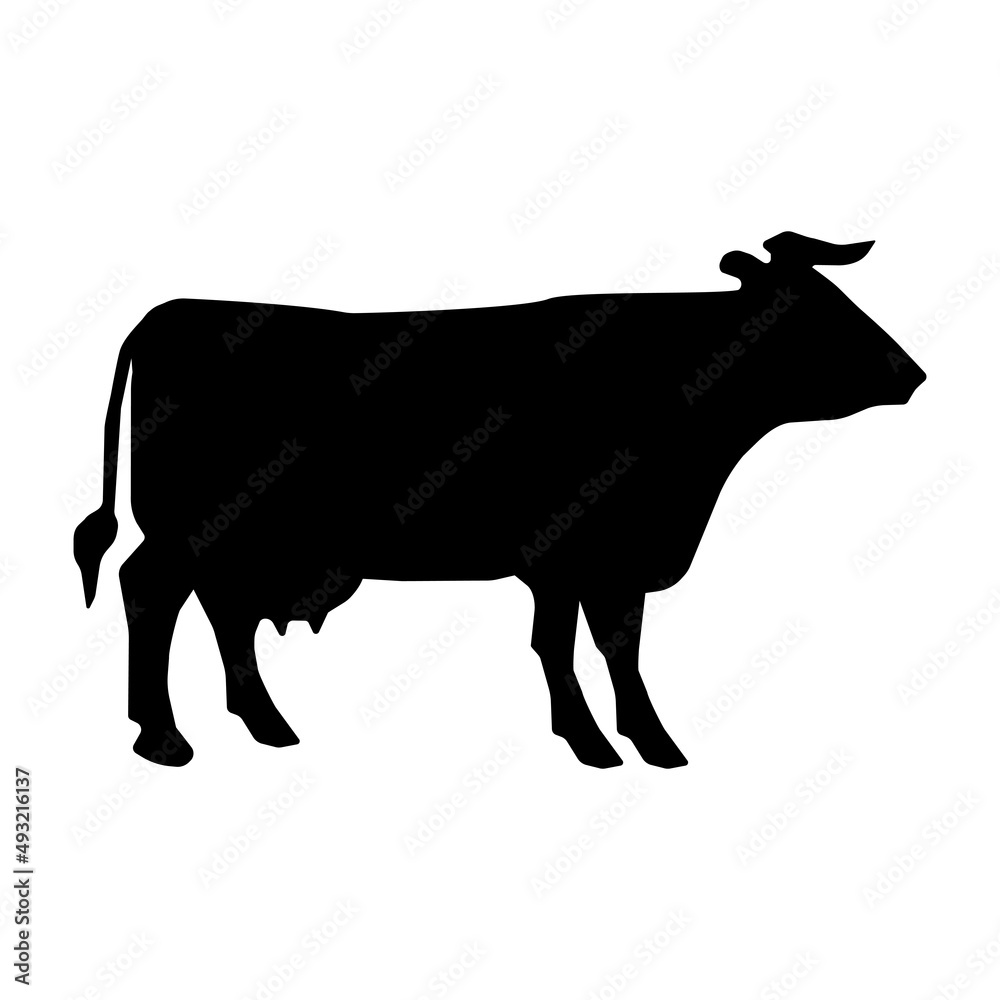 Vector icon cow isolated on white background. Vector illustration. Vector icon cow isolated on white background. Vector illustration.
