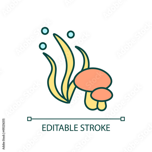 Alternative products RGB color icon. Mushrooms and seaweed. Vegetarian dieting. Vegan food. Isolated vector illustration. Simple filled line drawing. Editable stroke. Arial font used