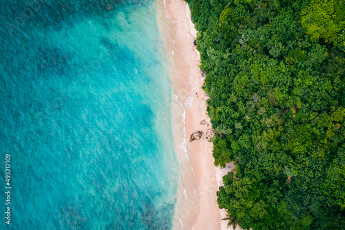 Tropical Jungle Beach in Sri Lanka. Aerial view of Exotic Costline and Rainforest. Paradise Beach.