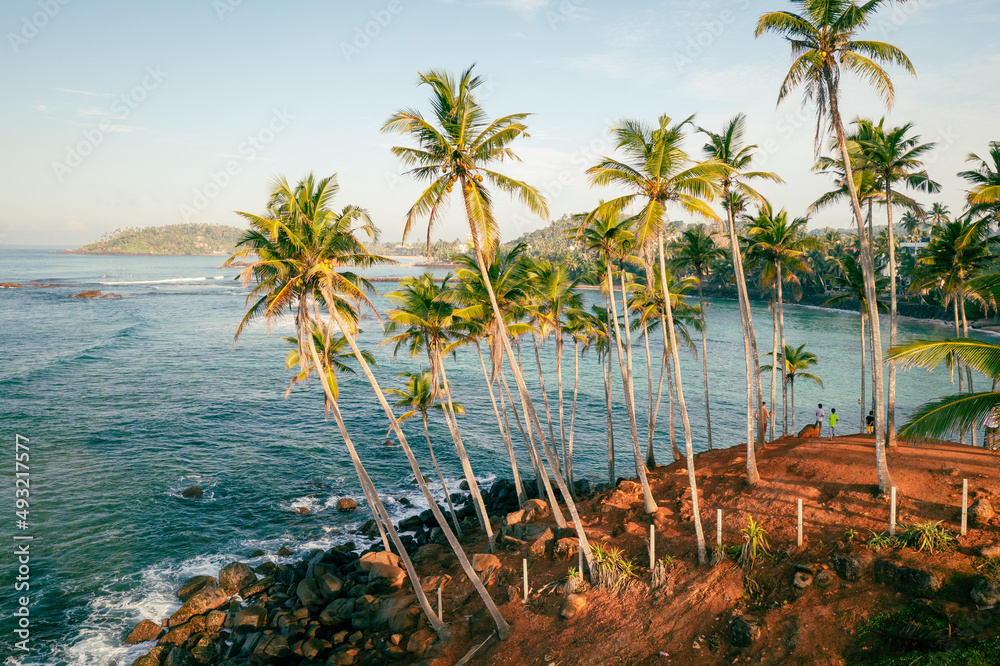 Coconut tree hill in Mirissa Beach. Sri Lanka.