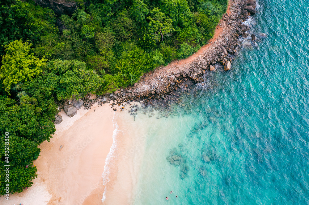 Tropical Jungle Beach in Sri Lanka. Aerial view of Exotic Costline and Rainforest. Paradise Beach.