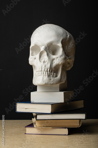 skull and books